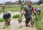 Koramil 03/Wanadadi dan Poktan Sumber Rejeki I Laksanakan “Ndaut” dan Persiapan Tanam Padi