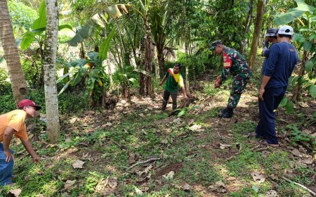 Babinsa Aktif Dampingi Kegiatan Perluasan Areal Tanam (PAT) Dalam Program Ketahanan Pangan