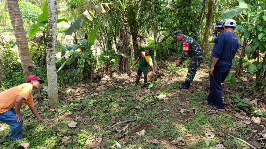Babinsa Aktif Dampingi Kegiatan Perluasan Areal Tanam (PAT) Dalam Program Ketahanan Pangan